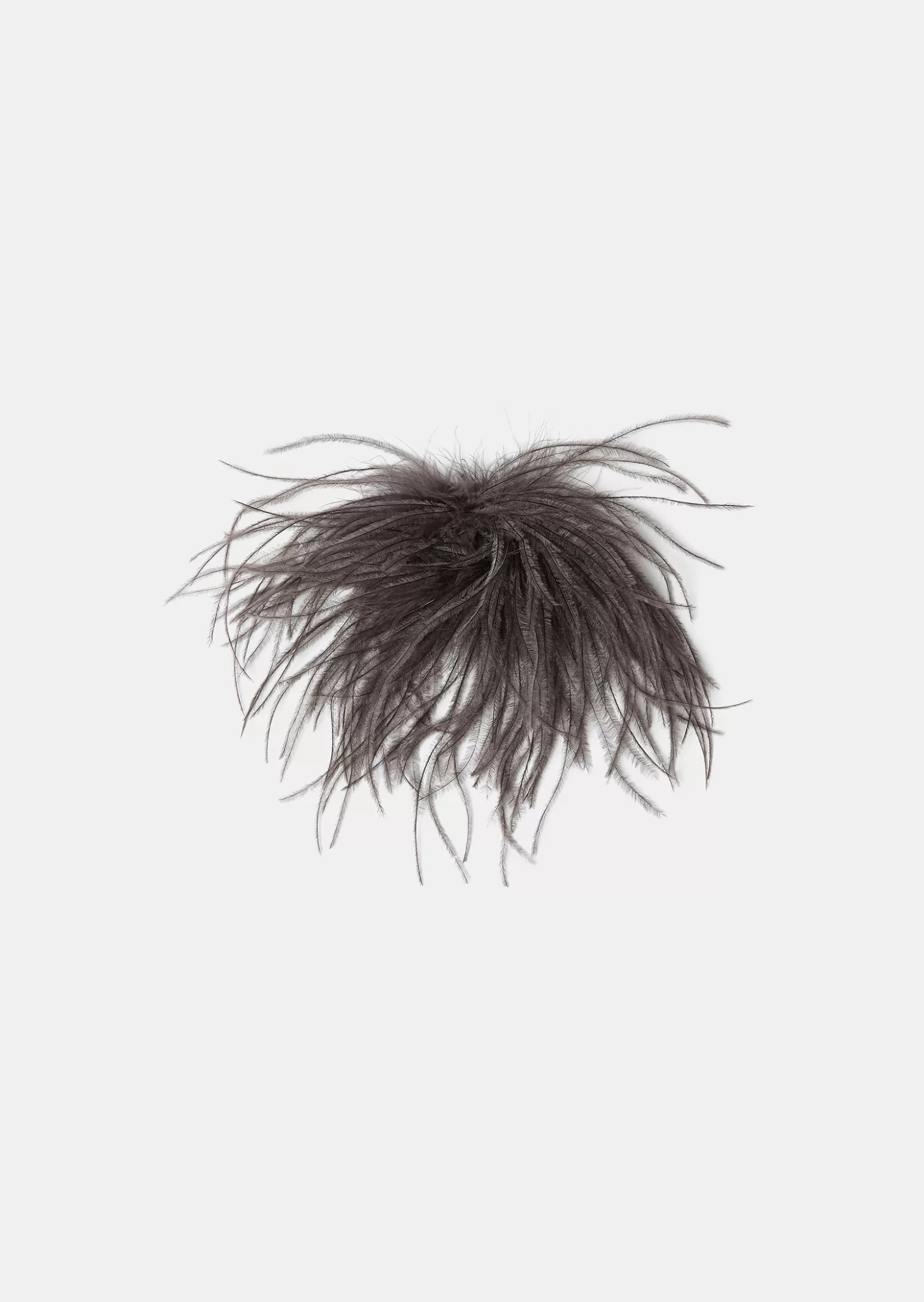 TARA JARMON Broche Arthur e en plumes< Accessoires