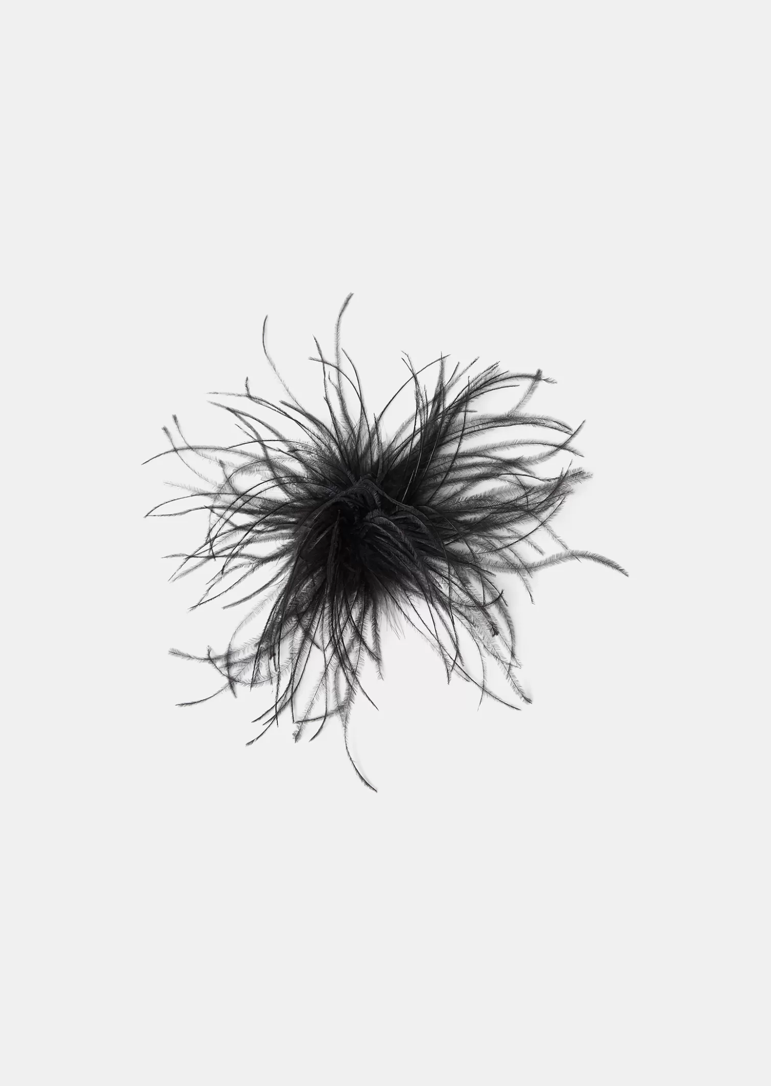 TARA JARMON Broche Arthur noire en plumes< Accessoires